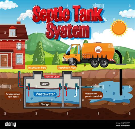 Ilustraci N Del Diagrama Del Sistema Del Tanque S Ptico Imagen Vector