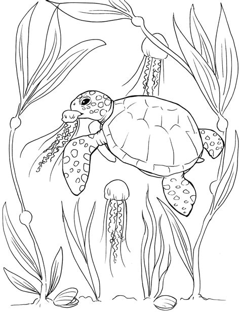 Sea Turtle Coloring Pages - Etsy