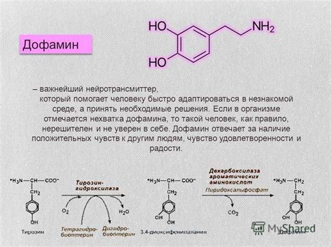 Что такое дофамин простыми словами: гормон допамин инструкция по применению