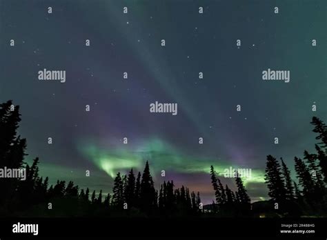 Astonishing Amazing Northern Lights Aurora Borealis Seen In Yukon