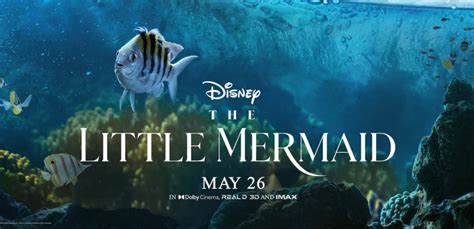 Movie Review: The Little Mermaid (2023) - MickeyBlog.com