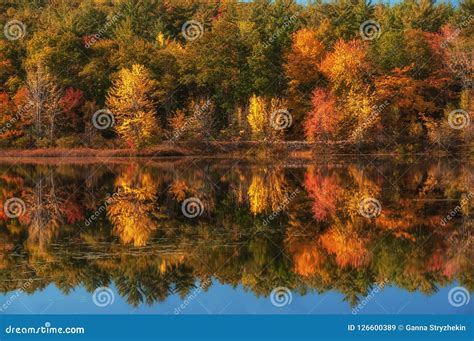 A Lake Among The With Bright Colorful Autumn Trees Sunny Day Acadia