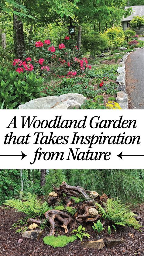 10 Woodland Shade Garden Ideas To Transform Your Tree Filled Yard Artofit