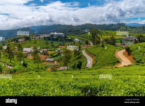 Hilly Landscape Of Sri Lanka Dotted With Villages And Tea Plantations