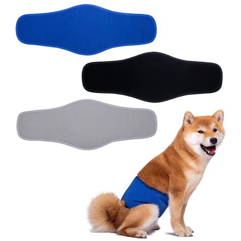 Male Belly Band Wraps For Dogs At Adriana Fishburn Blog