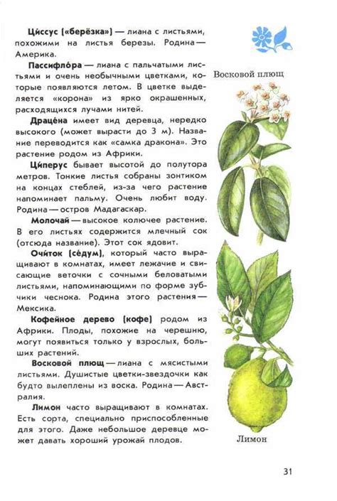 Атлас определитель животных "От земли до неба" Плешаков. Насекомые ...