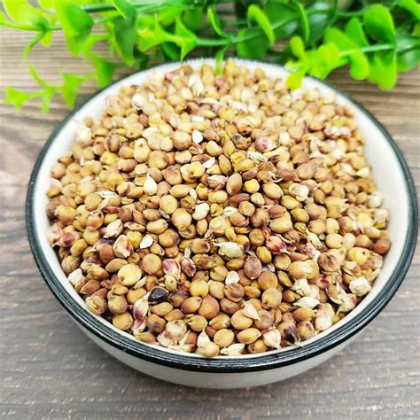 Wholesale Manufacturer Of Healthy Red Sorghum Seed At Market Price