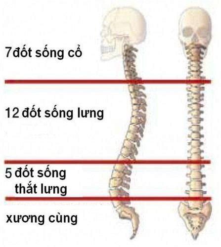 dac diem cua cac dot song  lung vinmec