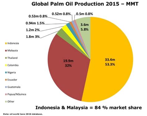 What is Palm Oil? - The Center for Sustainable Palm Oil Studies (CSPO)