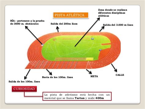 EDUCACIÓN FÍSICA NUESTRA SEÑORA DE LA VICTORIA LA PISTA DE ATLETISMO