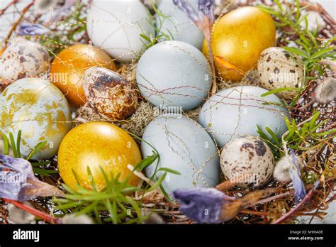 Easter Background With Easter Blue And Gold Eggs Pussy Willow And Spring Flowers Top View With