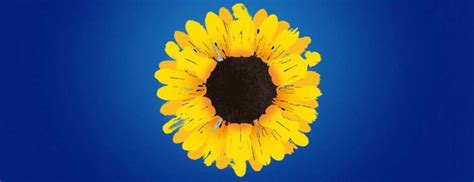 Calendar Girls At The Bristol Hippodrome Review Whats Good To Do