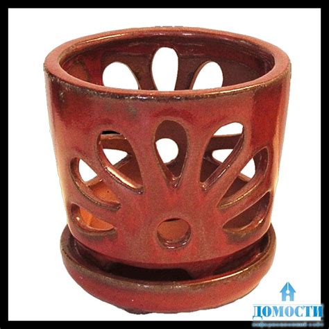 Прозрачные горшки для орхидей