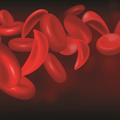 Hvorfor Har Vi Lyst Til Sex