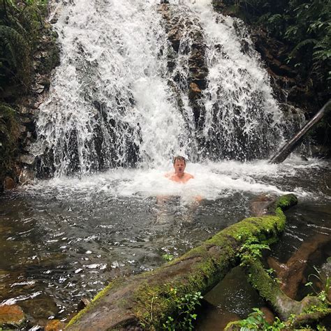 Les Meilleures Cours De Cuisine Bwindi Impenetrable National Park