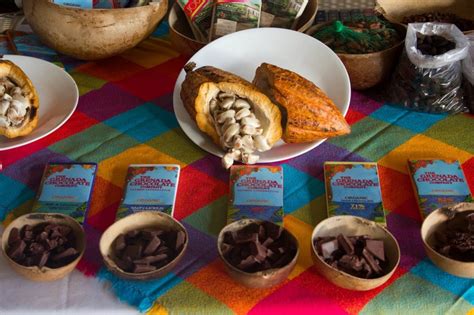 9 Reasons To Attend Grenada Chocolate Festival - Caribbean & Co.