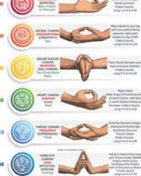 The Complete Guide To The 7 Chakras For Beginners Artofit