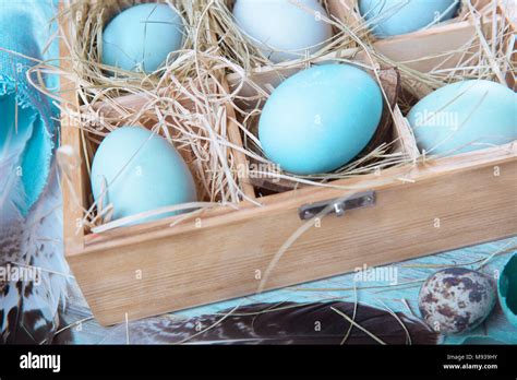 Easter Background With Easter Blue Eggs Pussy Willow And Spring Flowers Top View Stock Photo