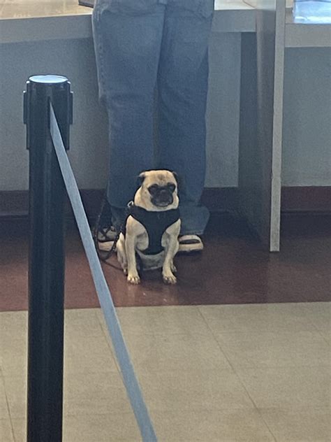 You Look Like Such A Dumb Ass In This Photo Zoil R Zoil