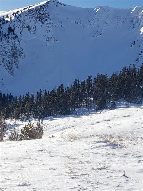 Natural Avalanche Near Hardscrabble 2 Gallatin National Forest