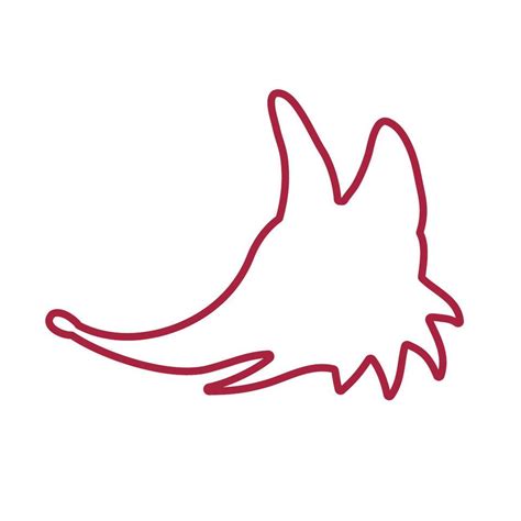 Студія Red Foxes