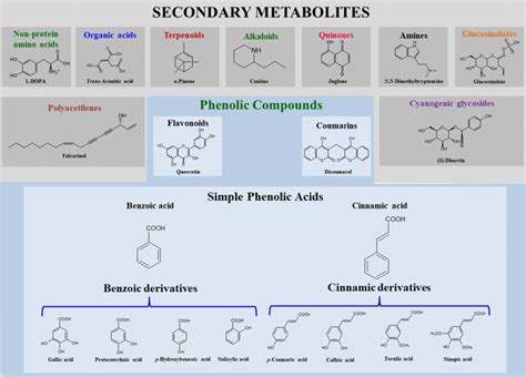 Distribution Of Secondary Metabolites In The Plant Kingdom In Which