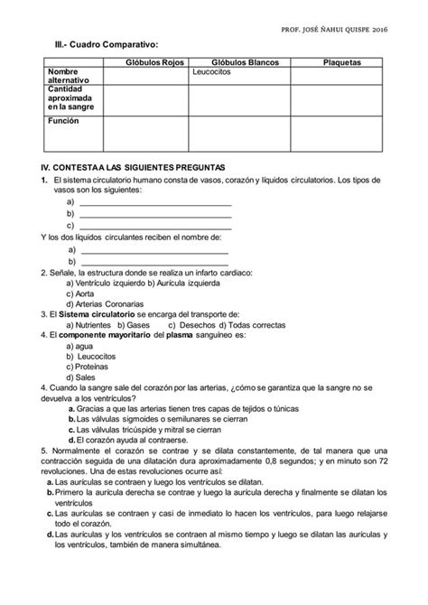 Guia De Actividades Sistema Circulatorio Pdf