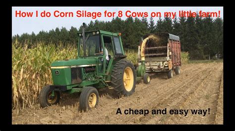 Corn Silage Youtube