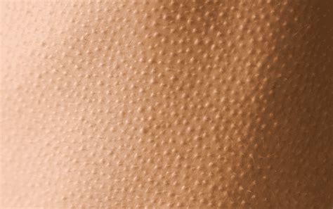 Menopause And Sex Drive I Used To Be Frisky But Lately I Seem To Have Lost Interest In Sex