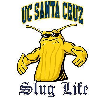 39 Best UC-Santa Cruz Banana Slugs ideas | santa cruz banana slugs ...