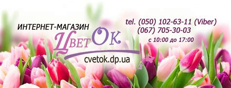 Orchids Malyzhek.Ukraine - 💥Phal. Miki Galaxy '183' Мики Гелэкси "183 ...