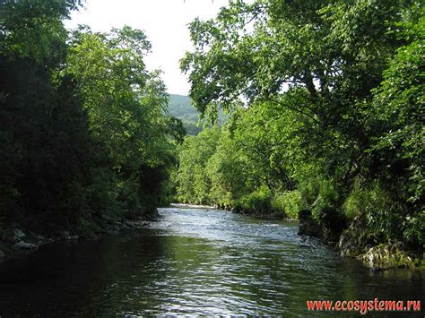 Фотографии природы Камчатки: ручьи, реки, озера, океан