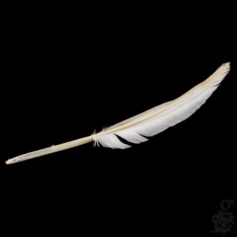 Swan Feathers For Marbling Gold Leaf Supplies