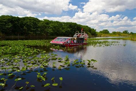 Everglades Air Boat and Alligator Show with Private Transport 2024 - Miami