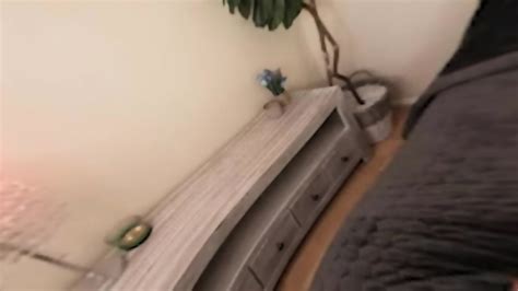 Your Friend S Hot Mom Mellanie Monroe Is A Milf That Wants You To Watch Her Strip