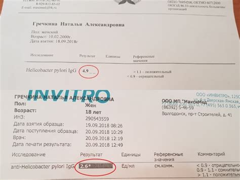 Анализ на хеликобактер инвитро цена