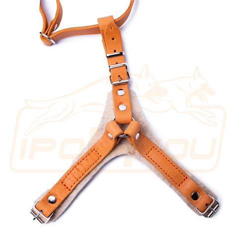 КОЖАНАЯ ШЛЕЯ "GOLD" - IPO4YOU