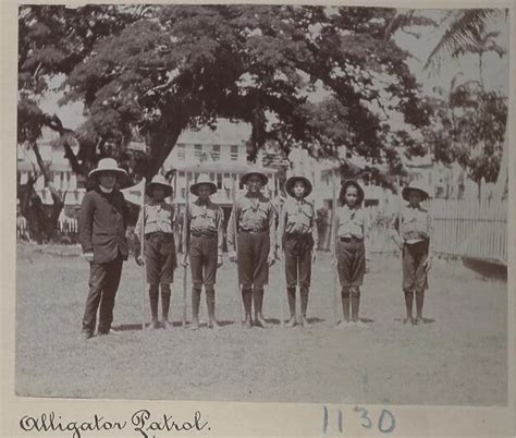 Scouts Of The 4th Guiana Troop South America Alligator