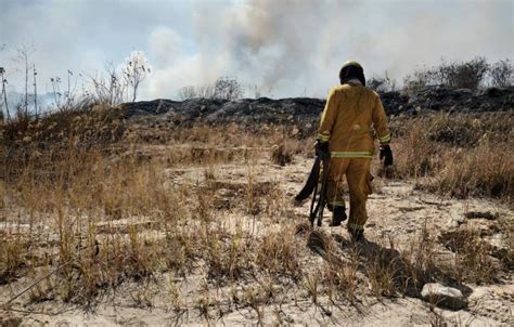 Fallece Brigadista Forestal En Accidente Automovil Stico Notisistema