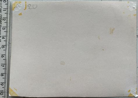 Shirtless Men Trunks Bulge Affectionate Guys Muscle Gay Interest Vintage Photo Ebay