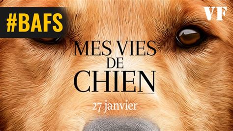 mes vies de chien bande annonce vf  youtube