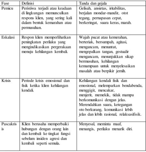 penanganan perilaku kekerasan  menggunakan terapi latihan asertif
