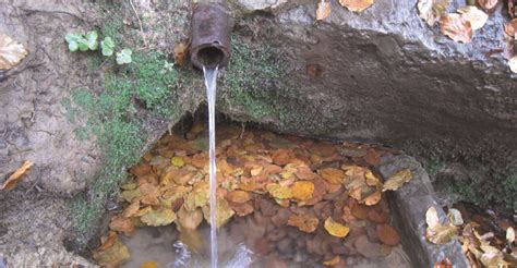 Fuentes De Agua Naturales Desmontaje Automático