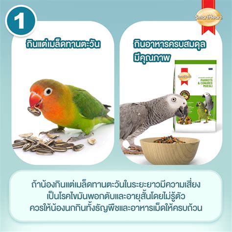 SmartHeart Thailand - 101. นวพร รติพงศ์ภักดี 102. สุกัญญา สุรินต๊ะ 103 ...