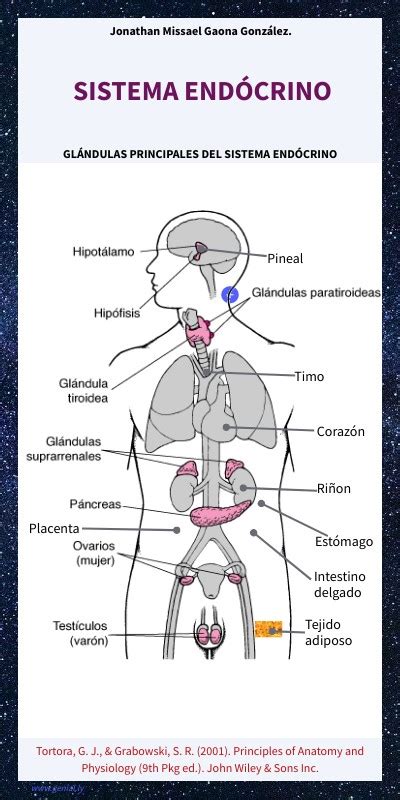 SISTEMA ENDÓCRINO