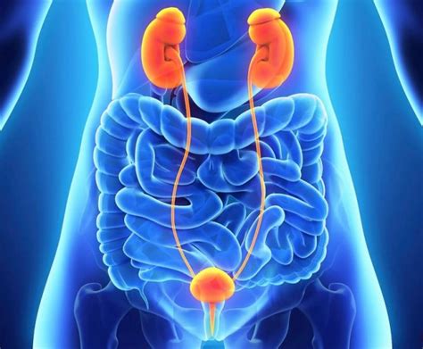 Лучевой цистит — причины, симптомы, лечение