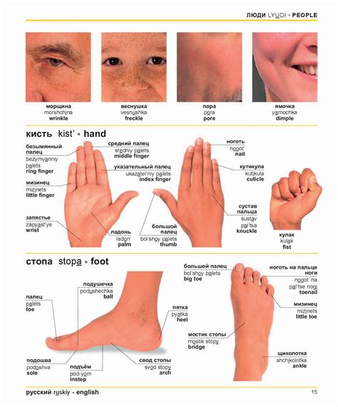 РУССКО-АНГЛИЙСКИЙ визуальный словарь
