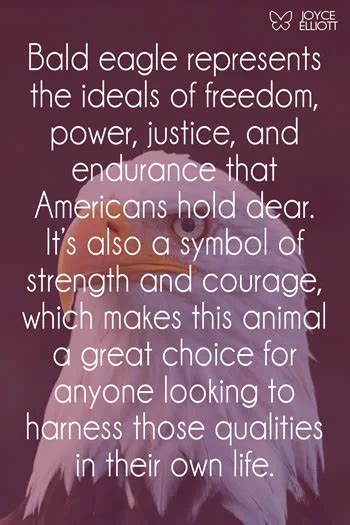 What Does a Bald Eagle Symbolize? 7 Powerful Meanings - Joyce Elliott