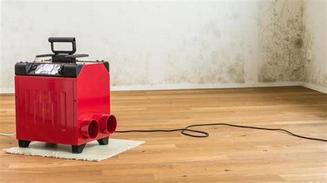 Average Whole House Dehumidifier Cost In 2024 Forbes Home