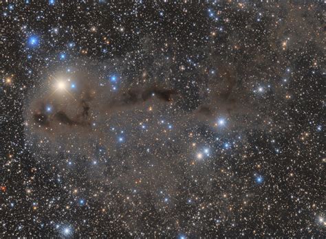 LDN 1246, LDN 1251 and LBN 558 | This bright nebula LBN 558,… | Flickr